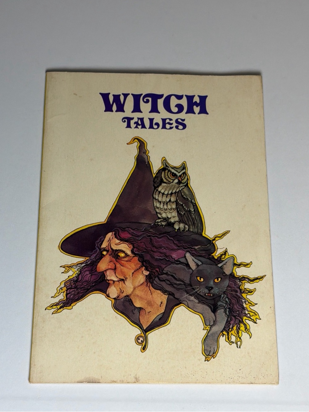 Witch Tales by Corinne Denan Illustrated by Pamela Ford Paperback Book 1980